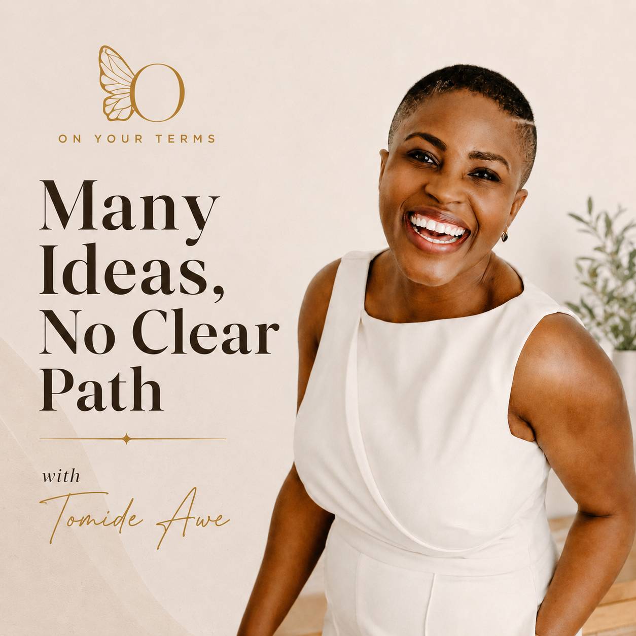 Many Ideas, No Clear Path - podcast series cover art